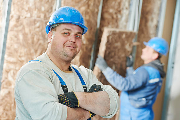 Best Insulation Installation Services in Buckeye Lake, OH